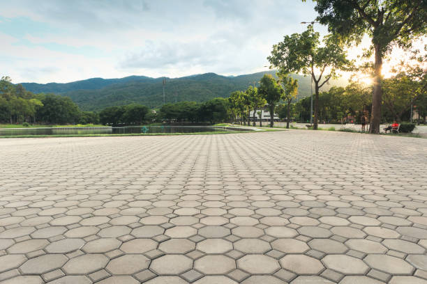 Best Affordable Driveway Paving  in Gulf Shores, AL
